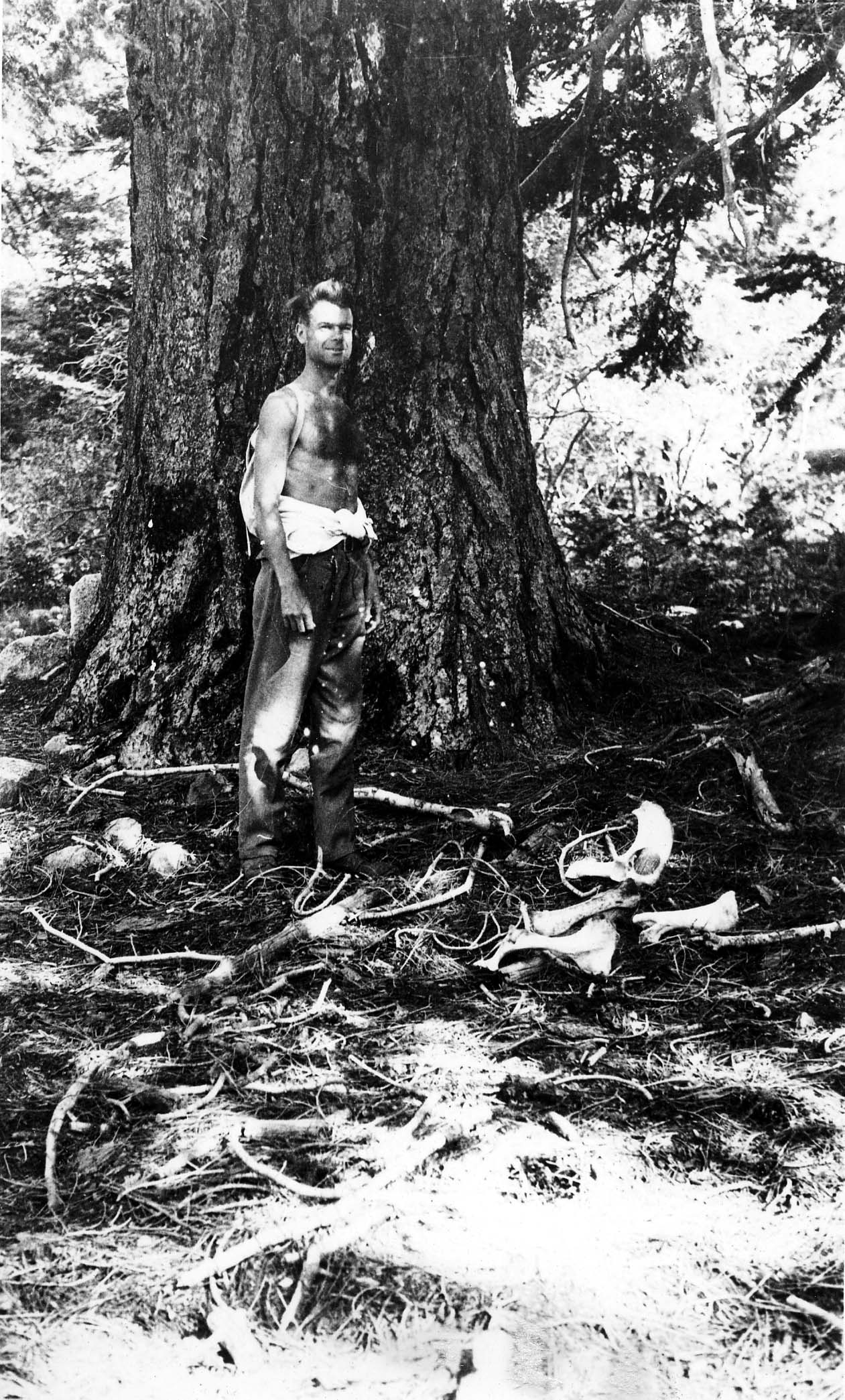A shirtless hiker standing at the base of a massive ancient conifer trunk beside weathered animal bones and a skull on the forest floor.