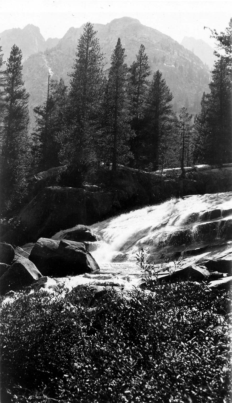 Fast-moving river rapids cascading over wide granite rock terraces framed by dark pine trees and a towering mountain summit.