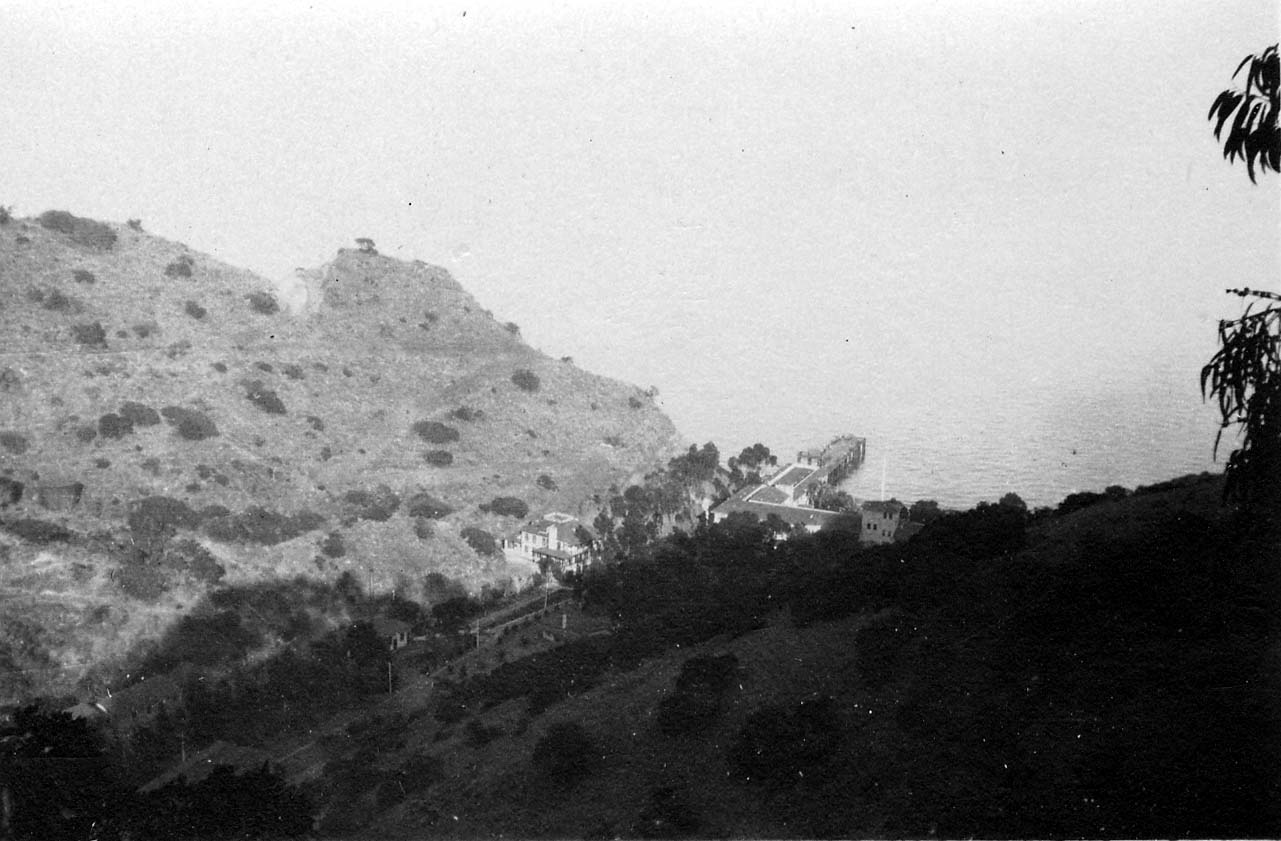 A high, hazy view looking down a steep, scrub-covered hillside toward a coastal resort and a long pier jutting into the ocean.