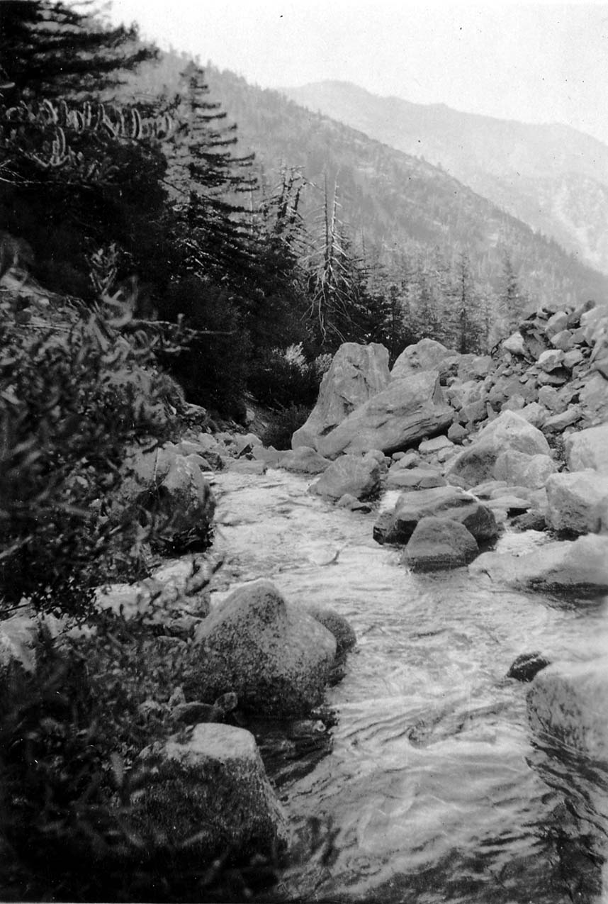 A clear, rushing alpine stream flowing through a shallow boulder-strewn bed beneath steep mountain ridges and pine-covered slopes.