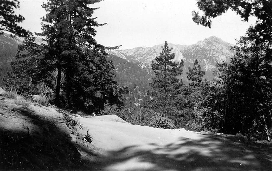 A dirt mountain road curving along a steep ridge in the Cuyamaca wilderness, with long pine tree shadows cast across the ground toward distant peaks.
