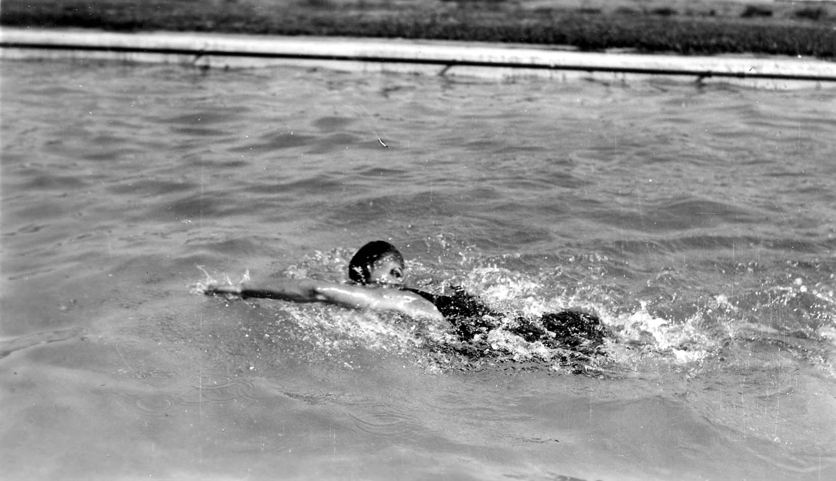 A person swimming freestyle in a swimming pool, turning their head to breathe.