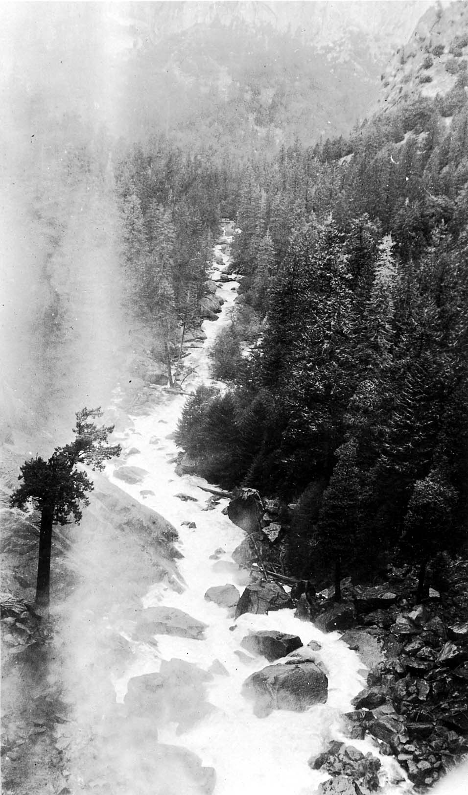 High-angle view looking down into the deep, pine-covered Merced River gorge as turbulent white-water rapids tumble over boulders.