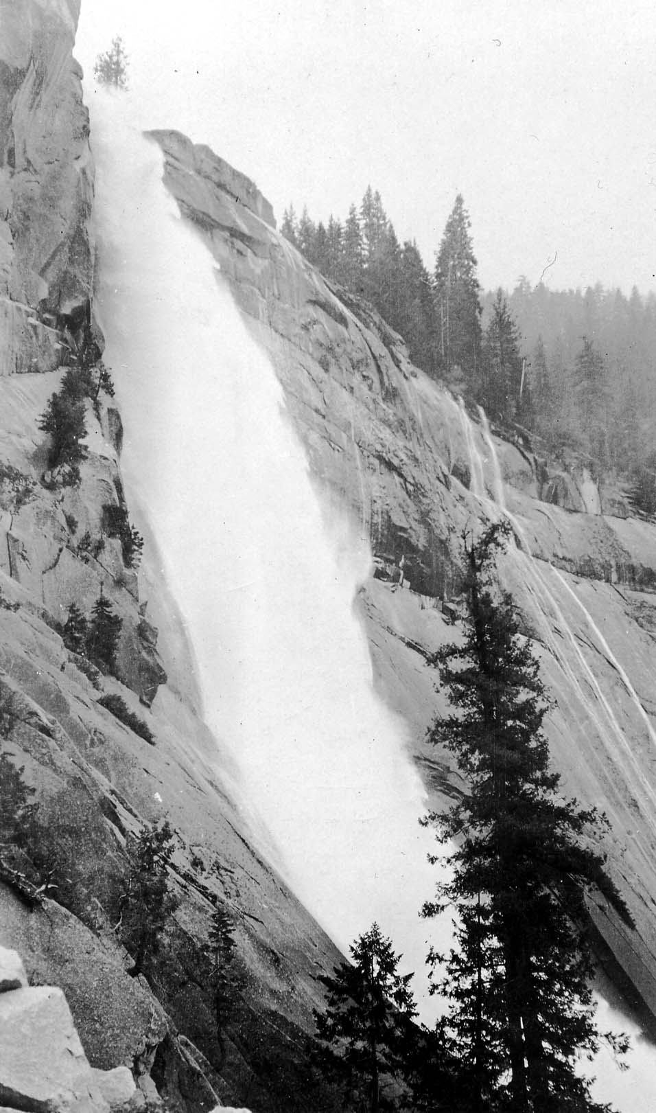 Nevada Fall rushing down its steep sloping granite face beside a tall evergreen pine along the Mist Trail in Yosemite.