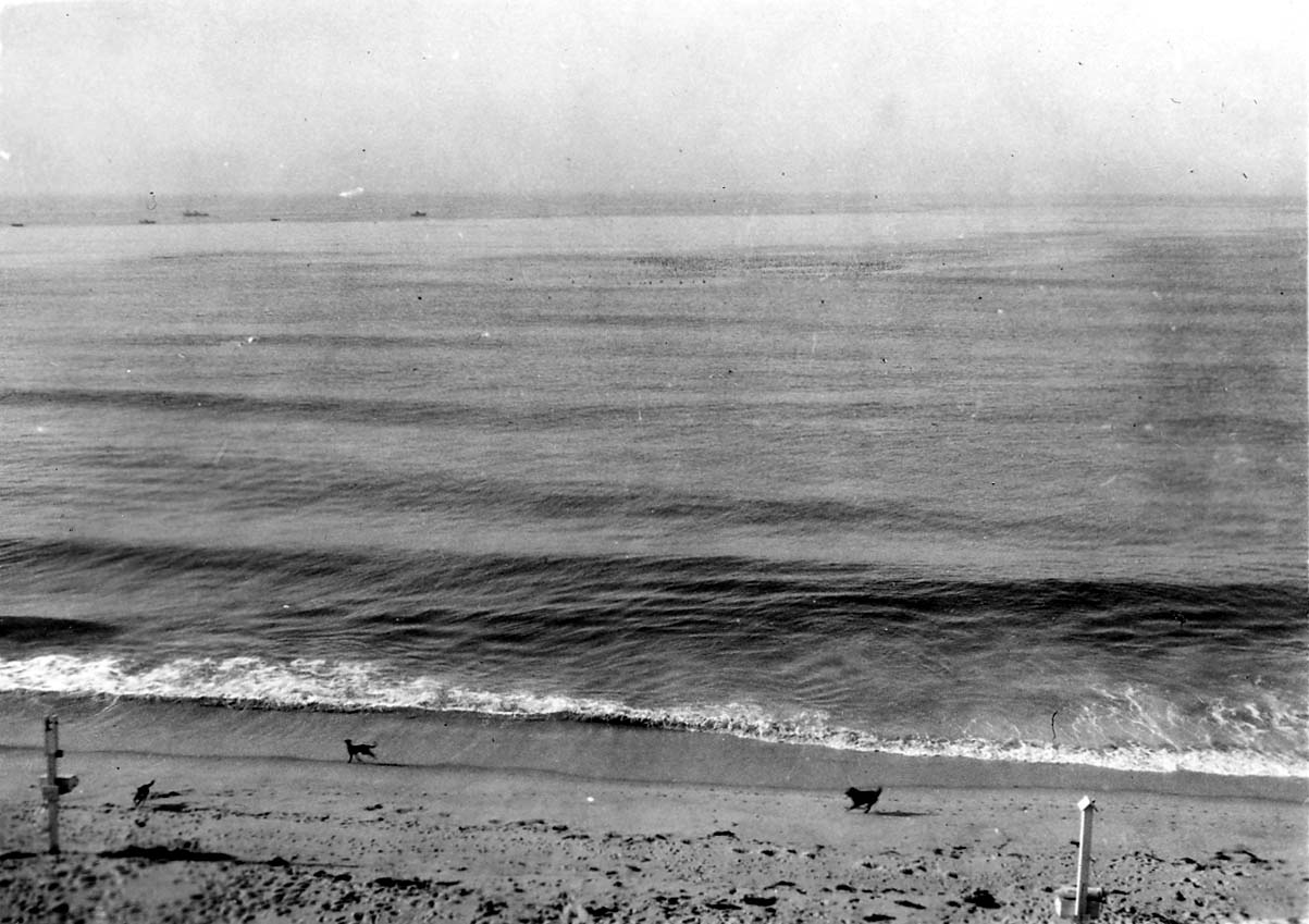 An elevated view from a coastal bluff looking down at parallel ocean swells and two dogs running along the sandy shoreline.