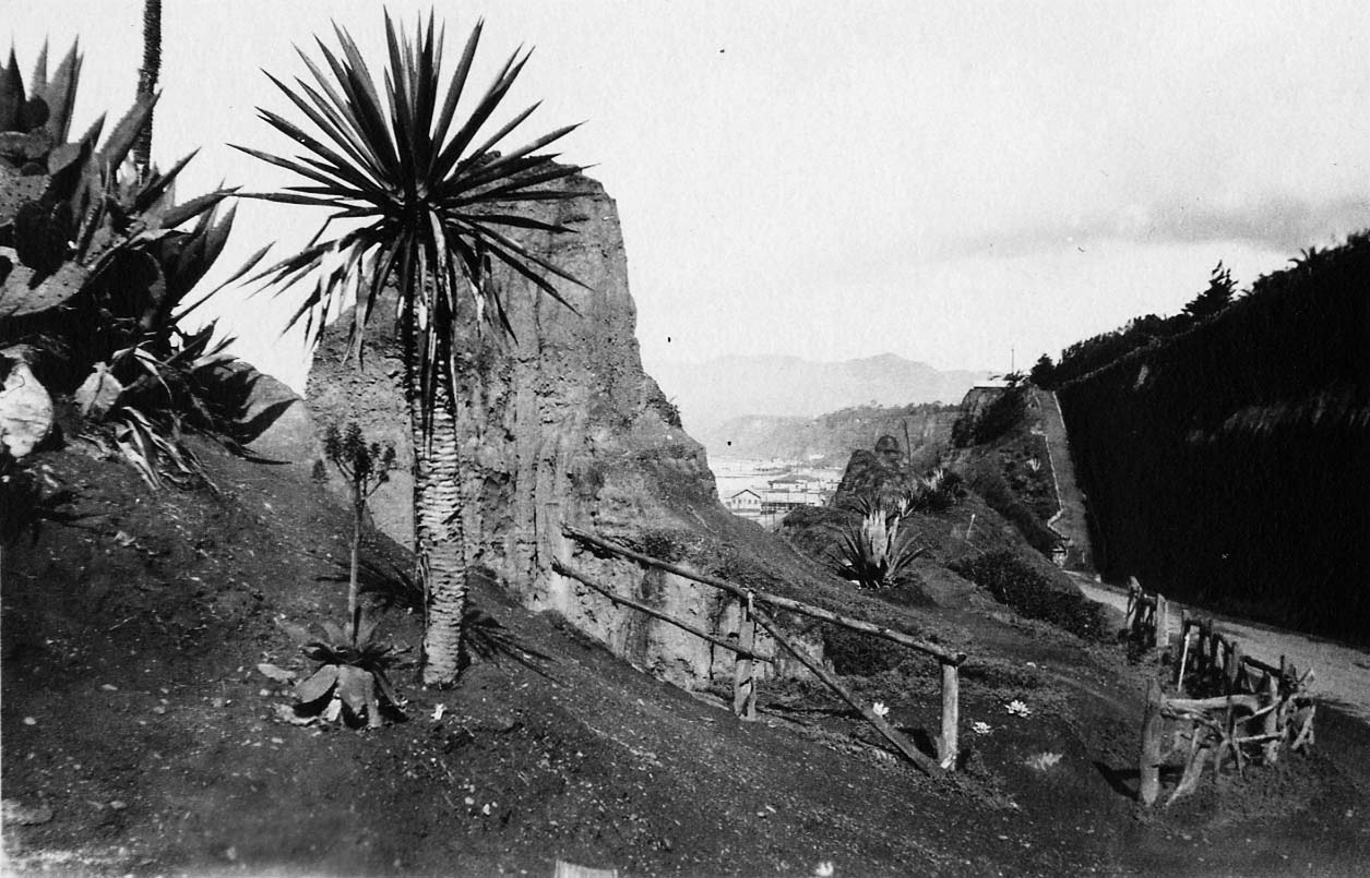 A rustic wooden railing and blooming yucca plants along a cliffside walking path overlooking the coast and distant Malibu mountains.