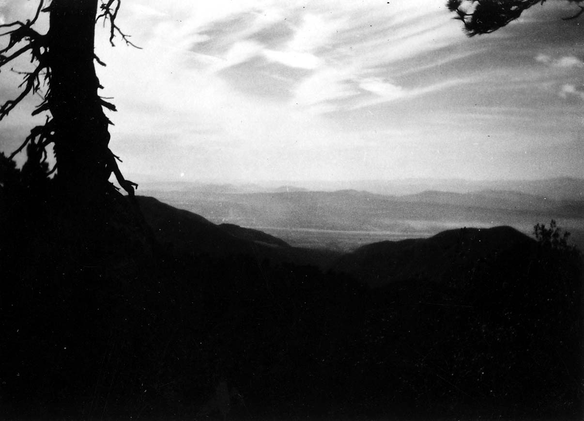 The stark silhouette of a gnarled pine tree trunk overlooking layered mountain ridges beneath a bright, clouded sky.
