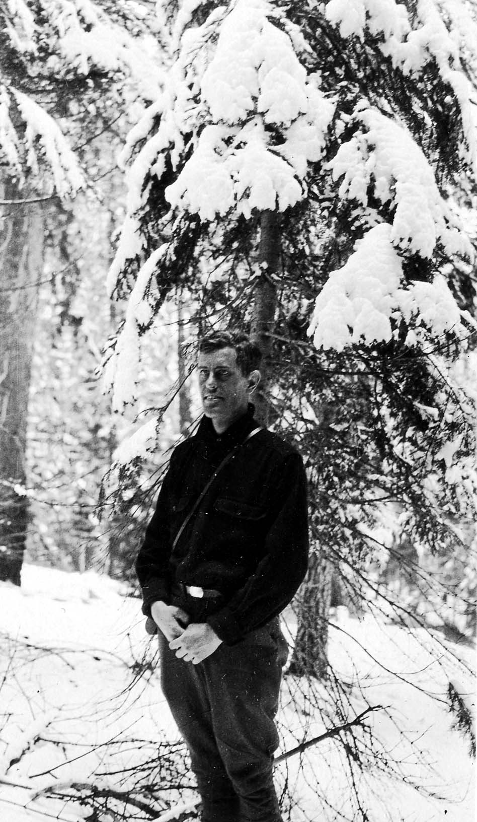 Donald A. Hall Sr. standing beneath the heavy, snow-laden branches of a large pine tree.
