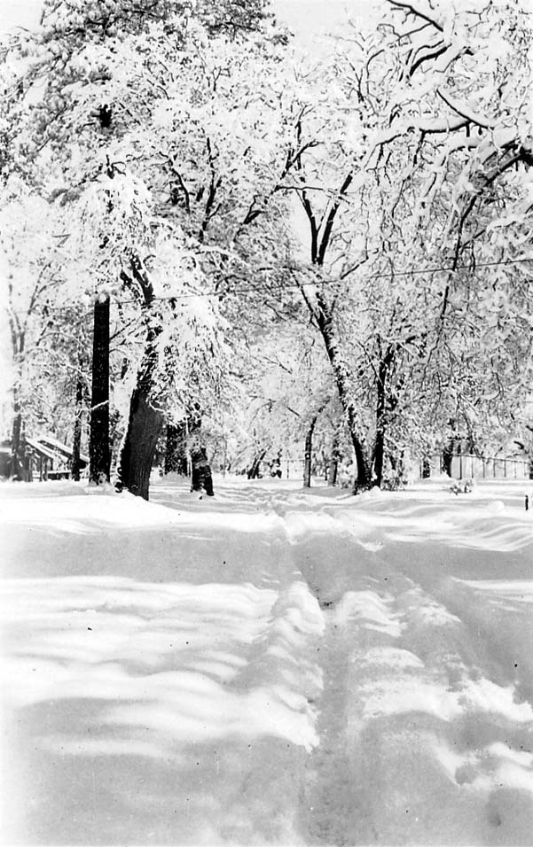 A beautiful winter scene looking down a snowy, tree-lined road with deep tire tracks carved into the fresh powder.