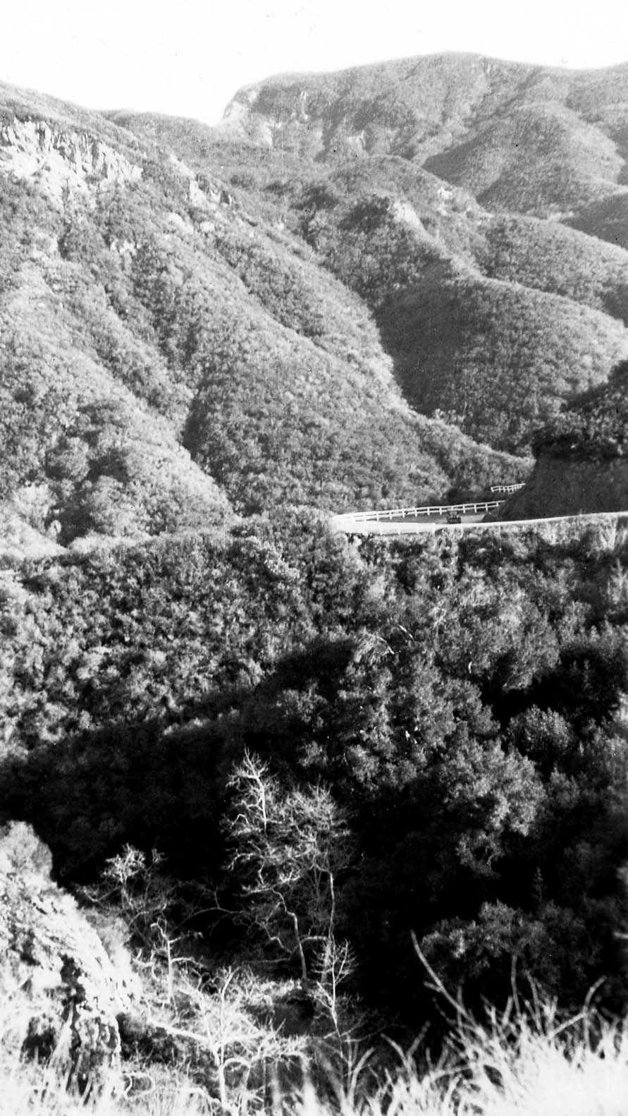 A vertical high-angle view of a paved mountain road with a white wooden guardrail curving along steep chaparral slopes above a deep canyon.
