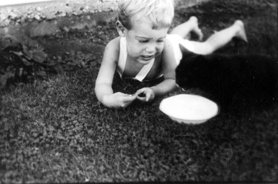 A toddler, Don Hall Jr., lying on his stomach in the grass next to a white bowl, gently petting a black cat.
